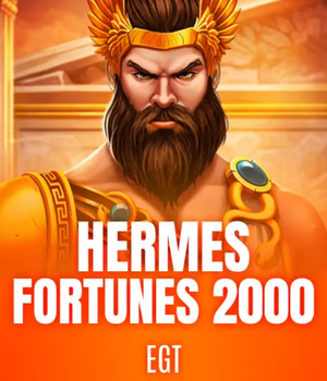 Hermes Fortunes 2000