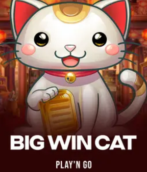 Big Win Cat