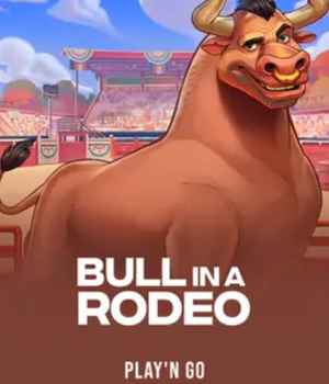 Bull in a Rodeo