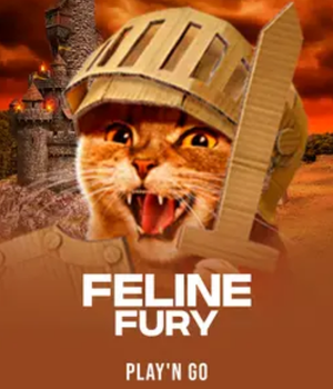 Feline Fury