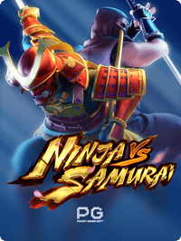 Ninja vs Samurai